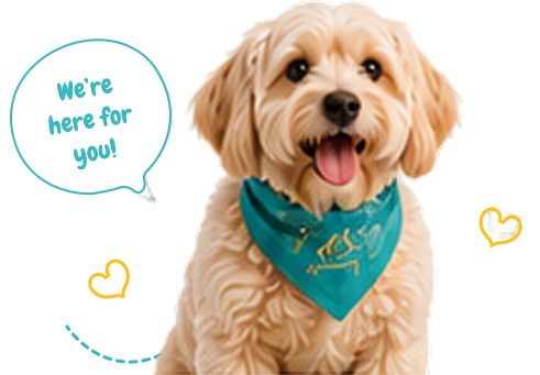 WUVO support dog