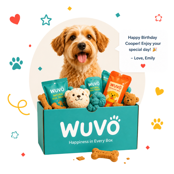 WUVO Birthday Box gift with dog, treats and birthday message
