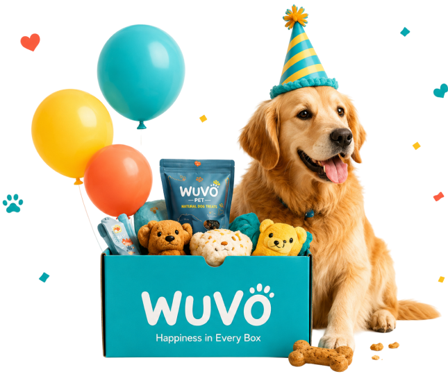 Personalized WUVO Birthday Box with dog and balloons